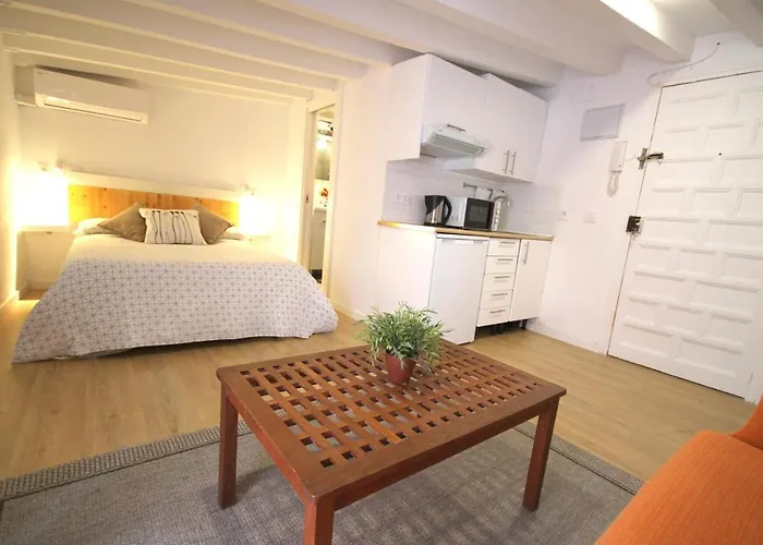 Loft In The Heart Of Seville
