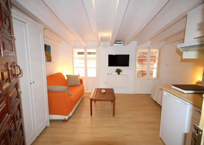 Loft In The Heart Of Seville